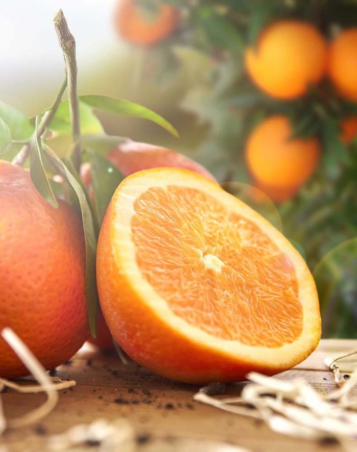 Our Story, HomeMaker Juice, Pure Florida Orange Juice