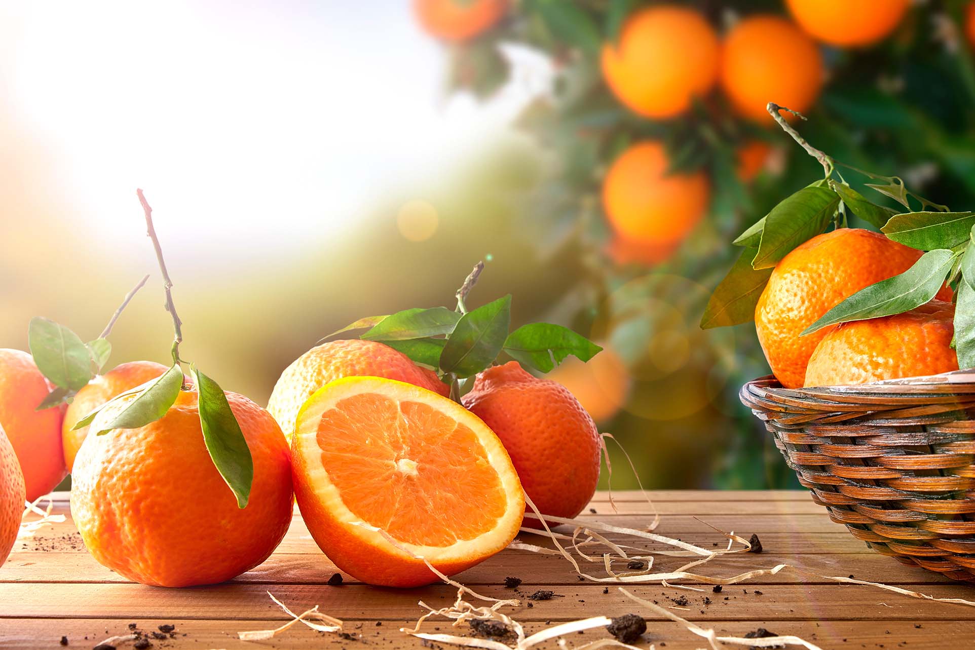 HomeMaker Juice, 100 Pure Premium Squeezed Orange Juice